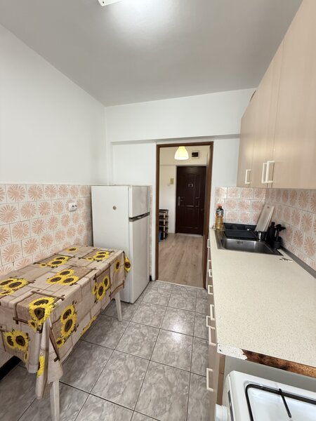 Drumul Taberei- Parcul Moghioros- Metrou-Pet Friendly