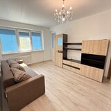 Drumul Taberei- Parcul Moghioros- Metrou-Pet Friendly